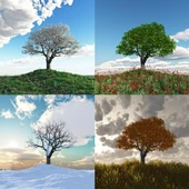 Dört Mevsim Ağaç 2 - Kanvas Tablo thumbnail 1