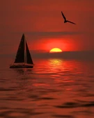 Gün Batımında Yelkenli ve Martı - Kanvas Tablo thumbnail 2