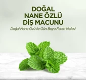 Eyüp Sabri Tuncer Diş Macunu 90 Ml - Nane Özlü - 2