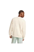 adidas Erkek  P ESS CREW  Sweatshirt  IX9814 - 5