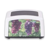 FLOSOFT NOKTA PEÇETELİK F030 - 2