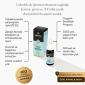 Eğriçayır Organik Propolis Su Bazlı 20 ml - 2