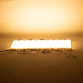 24 Volt Günışığı Modül Led 1,5 Watt 10 Adet 5154 - 2