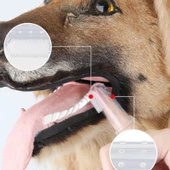 2 Adet Kediler Ve Köpekler Için 2'li Parmak Diş Fırçası - 2