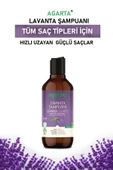 Agarta Doğal Saç Dökülmesine Karşı Şampuan 400 ml - 2