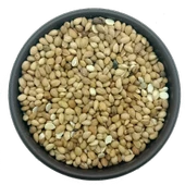 Mahlep Tane  250g - 2