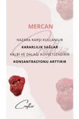 Mercan Kalp Çelik Zincirli Kolye - Doğanın Şifasıyla Aşk ve Huzur Bir Arada - 3