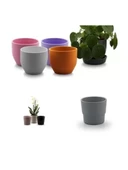 Nezirler VIA6555 Asorti Renk Saksı 14x12 Cm (Tekli) - 2