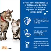 Hills Science Plan Kitten & Mother Tavuk ve Hindili Anne ve Yavru Kedi Konservesi thumbnail 6