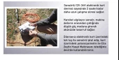 Elia Sensörlü Zeytin Hasat Makinası 750 Watt P885s9208 - 3