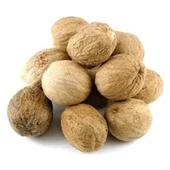 Muskat Tane Küçük Hindistan Cevizi 100 gr, Derya Eren - 3