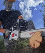 Specco Benzinli Ağaç Kesme Makinesi 2400W SP-3020 - 3