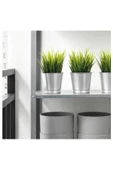 Bıntje Galvanizli Çelik Saksı - 9 Cm - 6