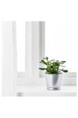 Bıntje Galvanizli Çelik Saksı - 9 Cm - 7