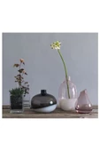 IKEA Sannolık 17 Cm Pembe Dekoratif  Vazo - 4