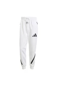 adidas M Z.N.E. PT Erkek  Eşofman Altı JF2449 - 2