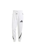 adidas M Z.N.E. PT Erkek  Eşofman Altı JF2449 - 1