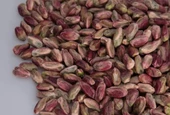 Antep Fıstığı Kırmızı iç 100 GR Yemeklik Tatlılık Aşurelik - 2