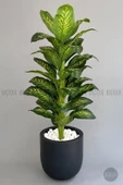 Yapay Difenbahya Ağacı 190 cm lux dış mekan saksıda - 7