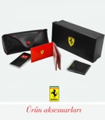 Ray-Ban Ferrari 3674M Erkek Güneş Gözlüğü - 3