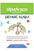 Stemist Box Denge Kuşu - 4