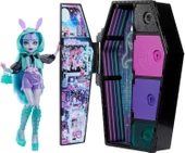 Monster High Gizemli Arkadaşlar 3. Seri Twyla HNF82 - 1