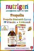 Nutrigen Propolis Şurup Kış 200 ml - 2