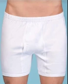 BERRAK 1055 ERKEK PAÇALI KÜLOT 6 ADET  BEYAZ 2XL thumbnail 2