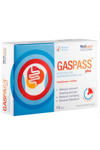 Wellcare Gaspass Plus 20 Tablet