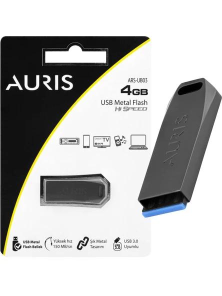 Auris 4 GB USB Metal Yüksek Hızlı Flash Bellek