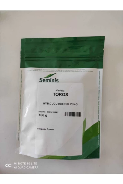 Seminis Toros F1 Hibrit Hıyar Tohumu 100 Gram