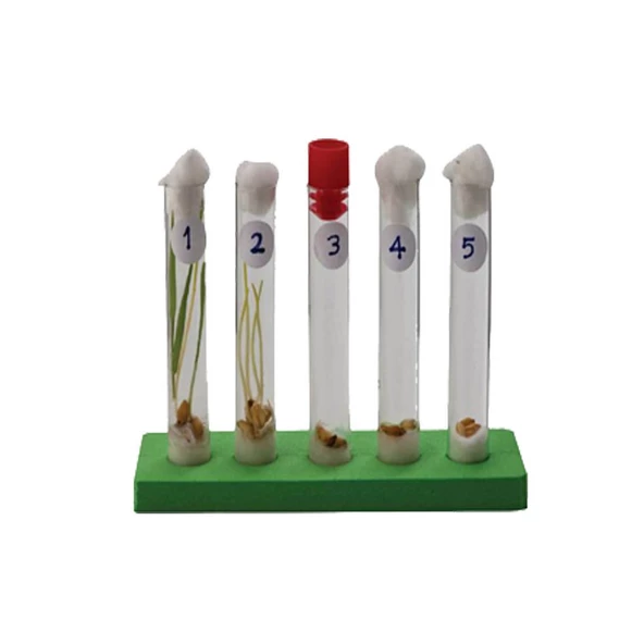 DENEY SETI CIMLENME - 2