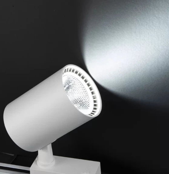 NOAS YL29 3001 Paris 30W Beyaz Kasa Ray Spot 6400K Beyaz Işık - 2
