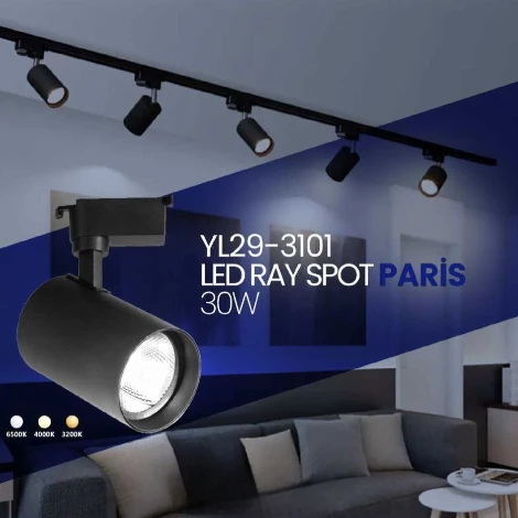 NOAS YL29 3101 Paris 30W Ray Spot 6400K Beyaz Işık - 2