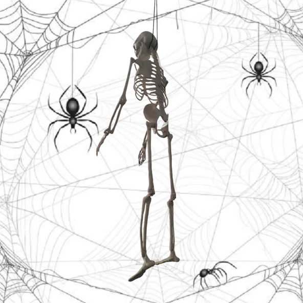 Cadılar Bayramı İskelet 90cm - 3