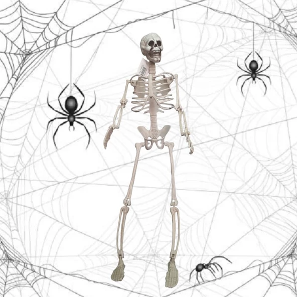 Cadılar Bayramı İskelet 90cm