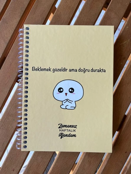 Zamansız haftalık planlayıcı , tarihsiz ajanda , süresiz ajanda , stickerlı spiralli sert kapak - 2