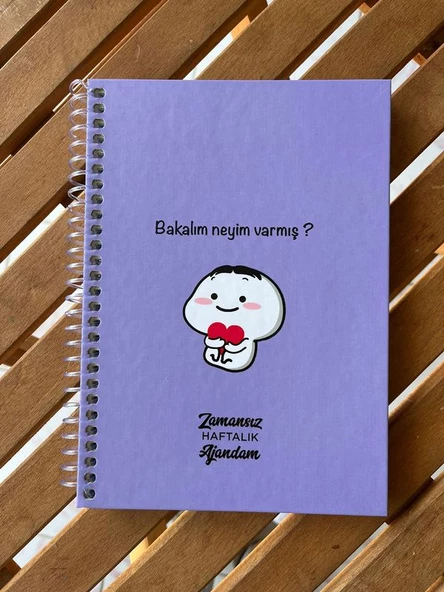 Zamansız haftalık planlayıcı , tarihsiz ajanda , süresiz ajanda , stickerlı spiralli sert kapak - 12