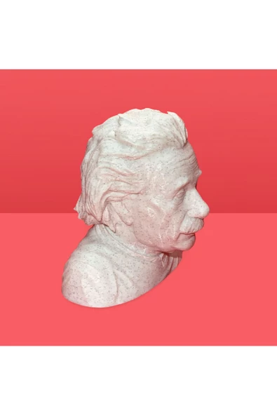 3D Albert Einstein Büstü Dekoratif Obje - 5