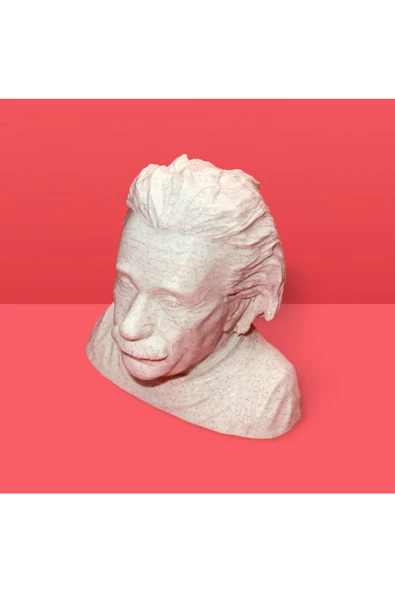 3D Albert Einstein Büstü Dekoratif Obje