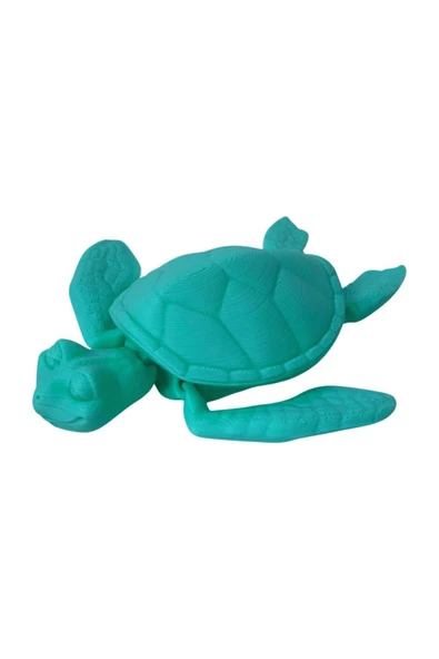 3D Hareketli Kaplumbağa Figürlü Oyuncak - Turkuaz - Resim 6