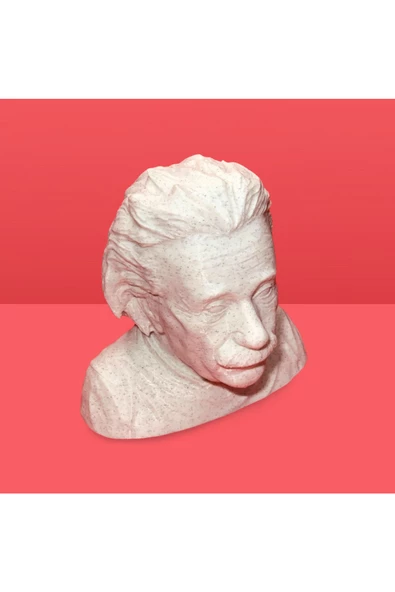 3D Albert Einstein Büstü Dekoratif Obje - 4