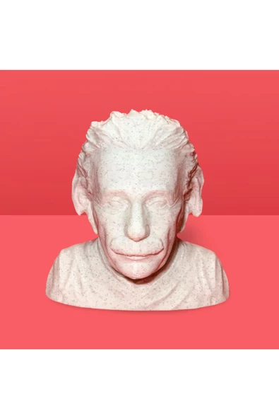 3D Albert Einstein Büstü Dekoratif Obje - 8