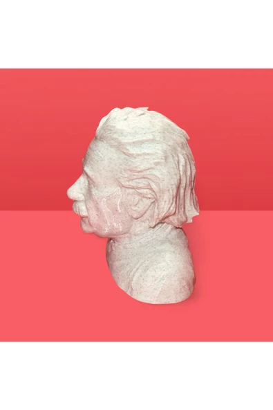 3D Albert Einstein Büstü Dekoratif Obje - 7