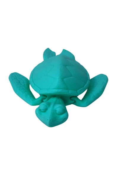3D Hareketli Kaplumbağa Figürlü Oyuncak - Turkuaz - Resim 4