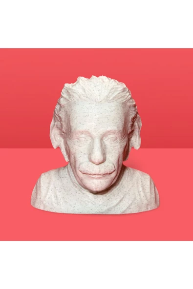 3D Albert Einstein Büstü Dekoratif Obje - 3
