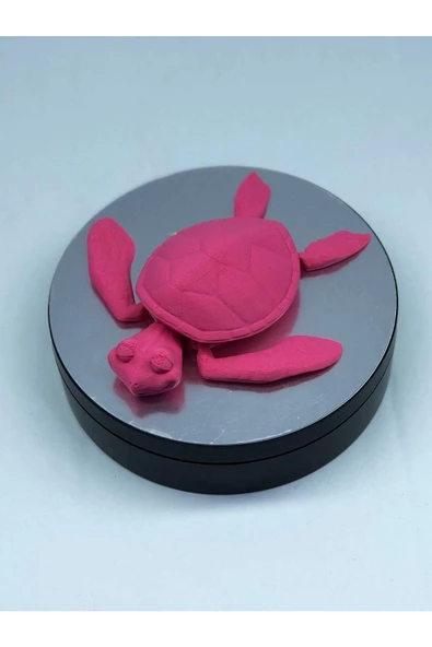 3d Hareketli Kaplumbağa Figürlü Oyuncak - Pembe - Resim 6
