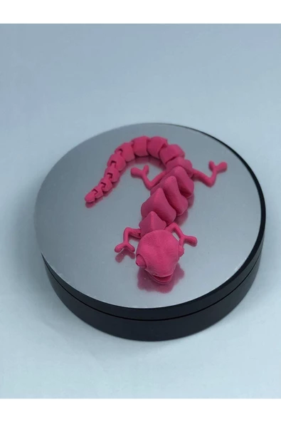 3d Hareketli Bukalemun Figürlü Oyuncak - Pembe ürün görseli 1