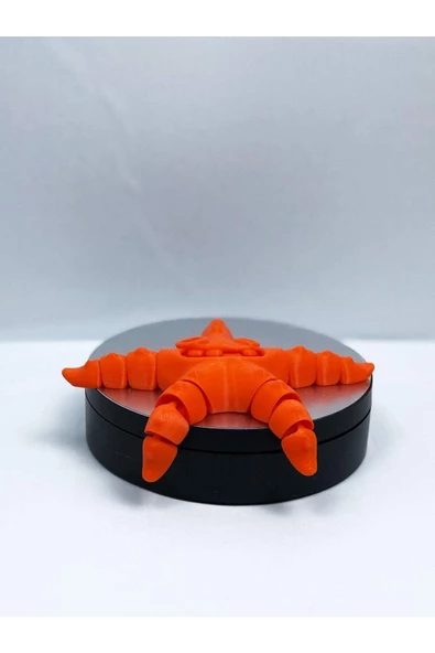 3d Hareketli Oyuncak Deniz Yıldızı - Koyu Turuncu - Resim 6