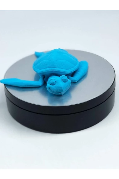 3d Hareketli Kaplumbağa Figürlü Oyuncak - Mavi ürün görseli 1